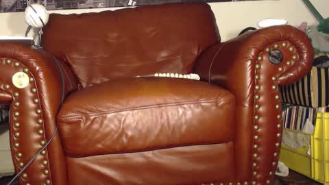 Snapshot of swolebbc chatting on September 2025 03:45:02 AM The DickGod online show from September 2025 03:45:02 AM