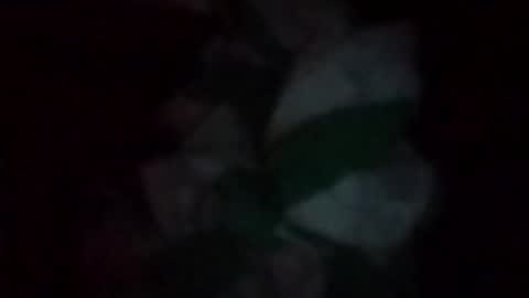 swollpole2112 online show from May 2026 06:21:03 AM