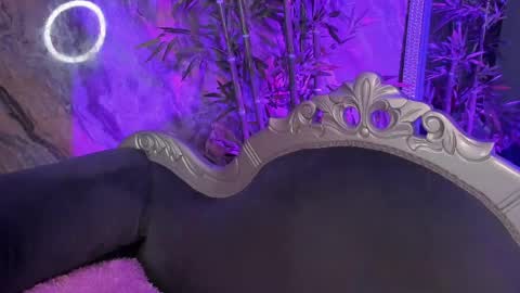 Sydney online show from April 2026 11:24:02 PM