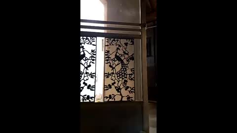 syevecrl online show from February 2026 02:04:01 AM