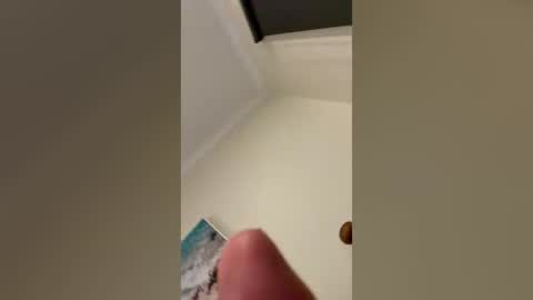 sylan_47 online show from July 2026 02:21:01 AM