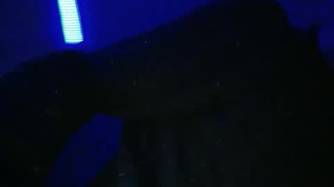 sylvauvert70 online show from January 2026 03:10:02 AM