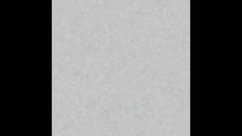 Toneio online show from March 2026 11:17:02 AM