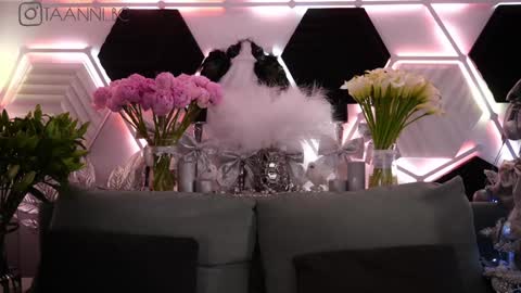 TAANNI online show from January 2025 06:13:01 AM