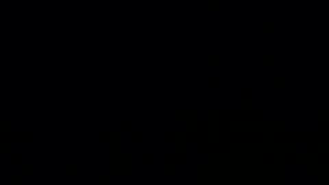 mr taco online show from December 2025 08:14:01 PM