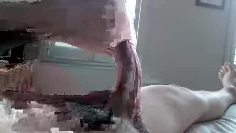 Tactful1 online show from April 2026 05:11:01 PM