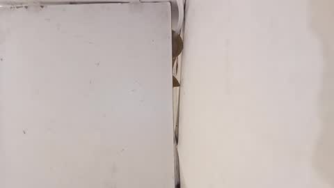 tall6feet7inch online show from March 2026 12:01:02 PM