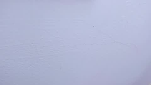 Tamara online show from February 2025 09:47:02 AM