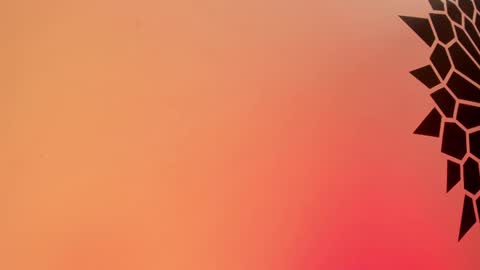 Tamara. online show from February 2025 03:49:02 PM