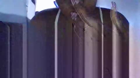 Snapshot of tanaya1 chatting on October 2025 05:28:01 AM Tanaya1 online show from October 2025 05:28:01 AM