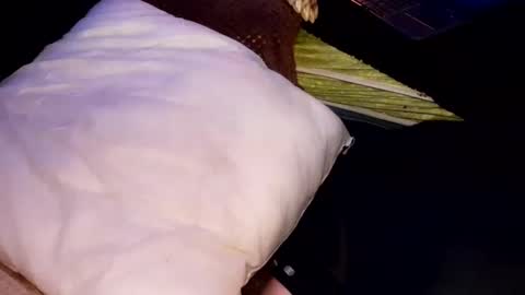 Snapshot of tattooman777 chatting on October 2025 06:58:01 AM Jean pool online show from October 2025 06:58:01 AM