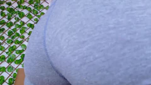 Snapshot of taty_miller chatting on February 2026 07:21:02 PM Taty Miller online show from February 2026 07:21:02 PM