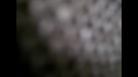 taylordeluxe84 online show from April 2026 07:09:01 AM