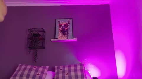 TAYLOR  online show from November 2025 12:05:01 PM