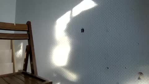 tec0vas online show from December 2024 08:25:02 PM