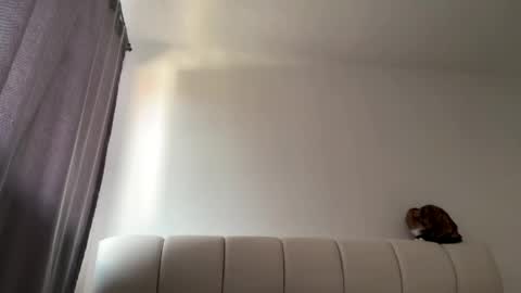 Amy No penetration Virgiin giirl online show from April 2026 01:05:02 PM