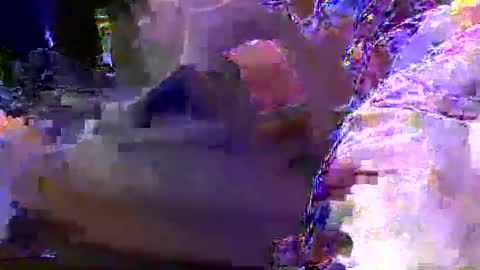 teki80j online show from January 2025 08:11:02 AM