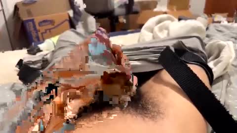 telecasted93 online show from September 2025 03:01:01 AM