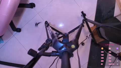 Terra Elowen online show from November 2025 11:45:01 AM