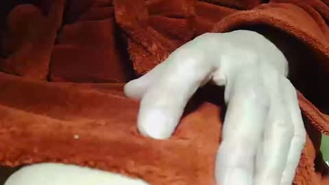 tetuo2 online show from October 2025 04:13:02 AM