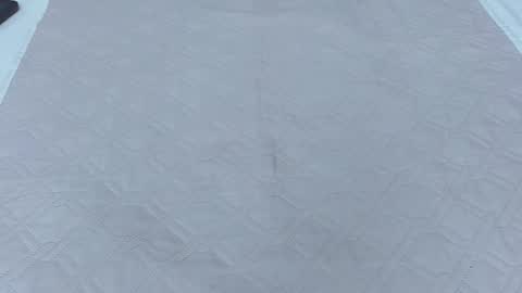 Thaily online show from September 2025 03:39:02 PM