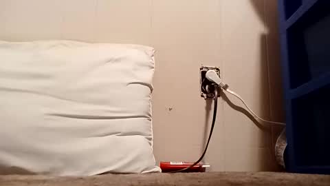 thatb1 online show from December 2025 04:50:01 AM