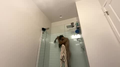 Snapshot of theekingcapo chatting on December 2024 10:52:02 PM king capo thee online show from December 2024 10:52:02 PM