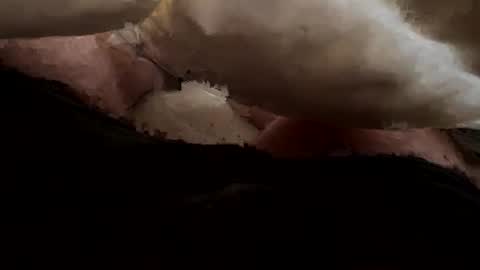 Snapshot of thelonlyboy chatting on November 2025 03:06:01 AM thelonlyboy online show from November 2025 03:06:01 AM