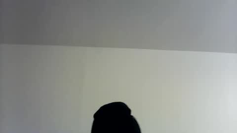 theman18951pa online show from November 2025 10:06:02 AM