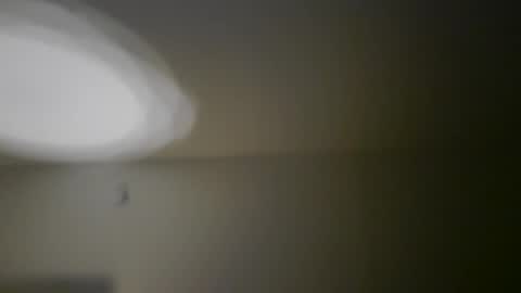 Snapshot of themann18951pa chatting on June 2026 04:13:02 AM The420 online show from June 2026 04:13:02 AM