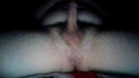 themegastar online show from April 2026 04:07:01 AM