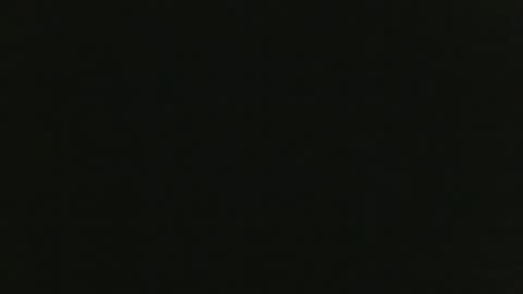 JohnSilver online show from December 2024 10:12:01 PM