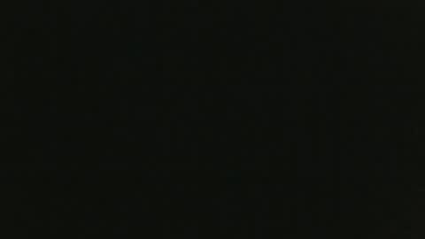 JohnSilver online show from December 2024 05:44:01 PM