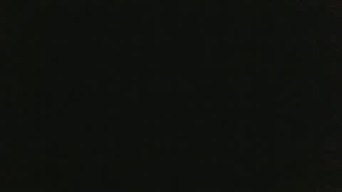 JohnSilver online show from January 2025 11:35:01 AM