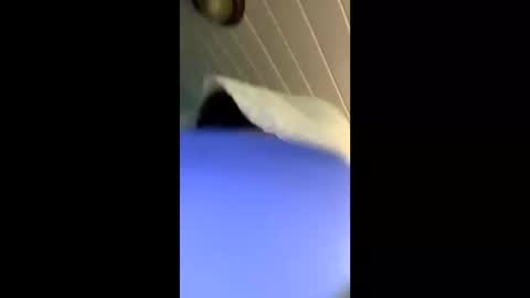 Snapshot of theonlyboi43ver chatting on November 2025 03:33:02 PM theonlyboi43ver online show from November 2025 03:33:02 PM