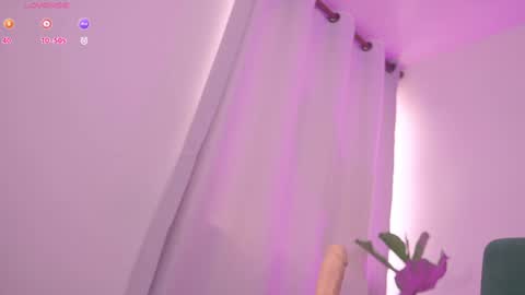    online show from December 2024 02:21:01 PM