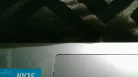 therealstackz69 online show from March 2026 11:54:02 PM