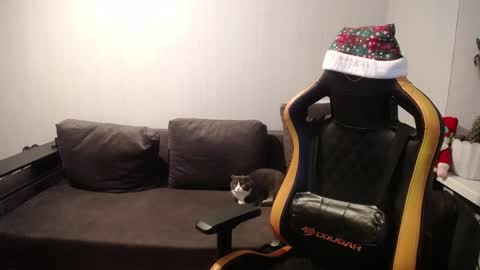 Snapshot of theroadtomars chatting on December 2024 03:59:01 PM Nick online show from December 2024 03:59:01 PM