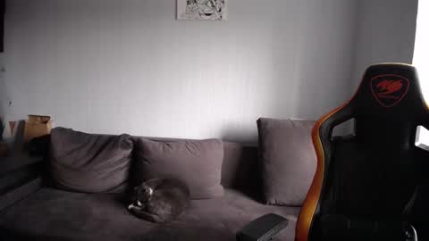 Snapshot of theroadtomars chatting on November 2025 08:47:01 AM Nick online show from November 2025 08:47:01 AM