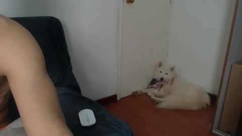 thesaint_xxx online show from November 2025 08:07:01 PM