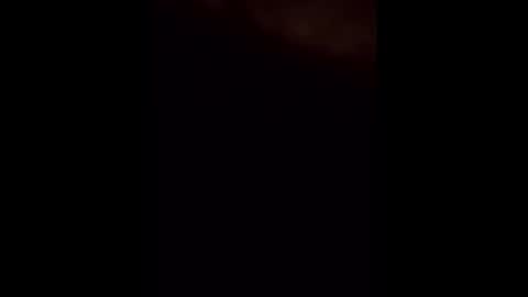 theturtleshead online show from January 2025 04:09:02 AM