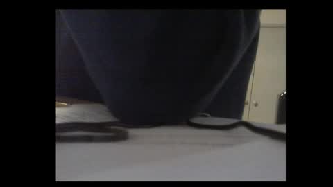 Snapshot of thickmelnik chatting on November 2025 01:04:01 AM James online show from November 2025 01:04:01 AM