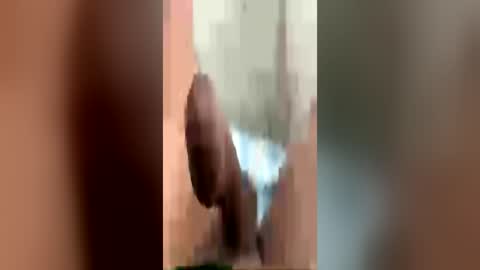 Thick-Mo online show from June 2026 07:01:01 PM