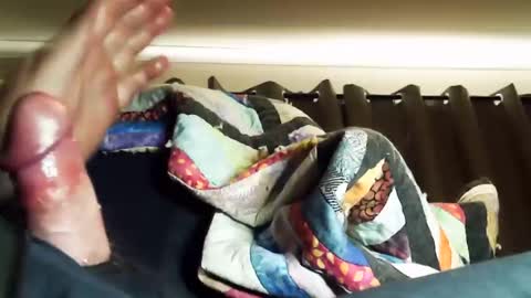 thisbloke96 online show from March 2026 07:14:02 AM