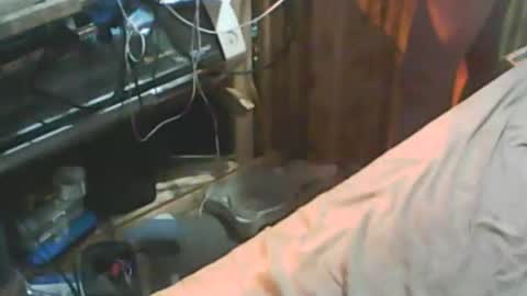 Snapshot of thisguyscott976866 chatting on January 2026 01:09:02 AM Thisguyscott online show from January 2026 01:09:02 AM