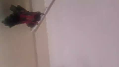 Snapshot of thomassr chatting on November 2025 12:10:01 AM Thonas online show from November 2025 12:10:01 AM