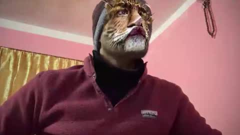 thulochaak online show from December 2024 11:30:02 AM