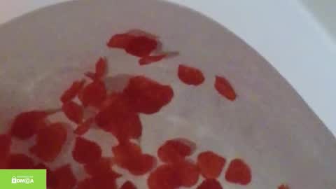 tia_j online show from October 2025 11:20:02 AM