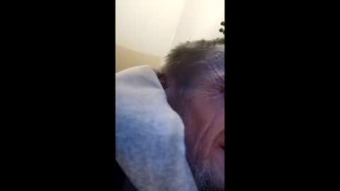 Snapshot of tibed1968836757 chatting on February 2026 08:49:02 PM tibed1968836757 online show from February 2026 08:49:02 PM