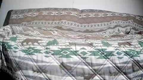 Casey online show from December 2024 02:49:02 PM